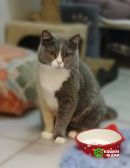 Фенюша, 4 года —круглолицая леди с янтарными глазами. 