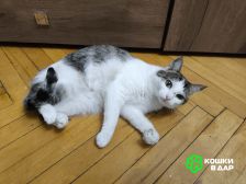 IMG_20250706_190948_266