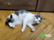 IMG_20250706_190948_266