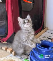 IMG_20250710_121812