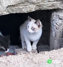 vtKmFYgMgDZmHhgVjn6I1tG6dbITRZg79KZax_-_BJ