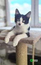 Screenshot_20250813_142318_com.google.android.apps.photos~4