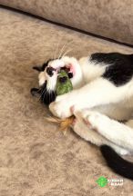 Screenshot_20250825_155527_com.google.android.apps.photos~2