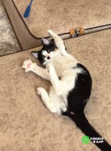 Screenshot_20250825_160844_com.google.android.apps.photos~2