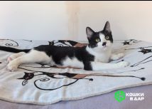 Screenshot_20250915_135206_com.google.android.apps.photos~2