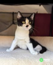 Screenshot_20250916_125641_com.huawei.photos~3