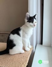 Screenshot_20250825_152810_com.google.android.apps.photos~2