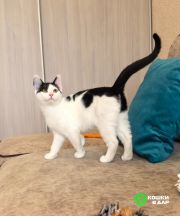 Screenshot_20250825_153515_com.google.android.apps.photos~3