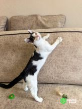 Screenshot_20250825_162916_com.google.android.apps.photos~2