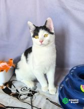 Screenshot_20250915_142918_com.google.android.apps.photos~2