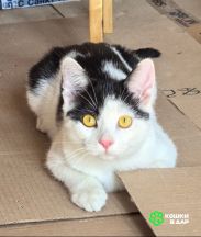 Screenshot_20250917_172008_com.google.android.apps.photos~2