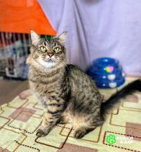 Screenshot_20250917_160923_com.google.android.apps.photos~2