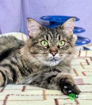 Screenshot_20250917_163015_com.google.android.apps.photos~2