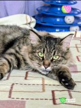 Screenshot_20250917_163037_com.google.android.apps.photos~2