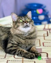 Screenshot_20250917_163242_com.google.android.apps.photos~2