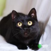 Изображение WhatsApp 2025-10-02 в 15.24.50_785ef1b5