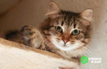 Изображение WhatsApp 2025-10-03 в 16.40.48_db3c6805