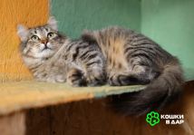 Изображение WhatsApp 2025-10-03 в 16.40.49_b2c17ad6