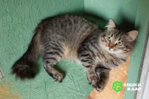 Изображение WhatsApp 2025-10-03 в 16.40.49_e45d8a94