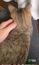 KyceyrrzZ2w2l4IaG_eAMVdHL8e6Cu