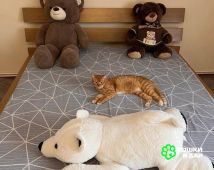 photo_2025-11-21_20-41-15