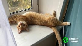 photo_2025-11-21_20-41-21