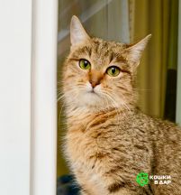 IMG_0012